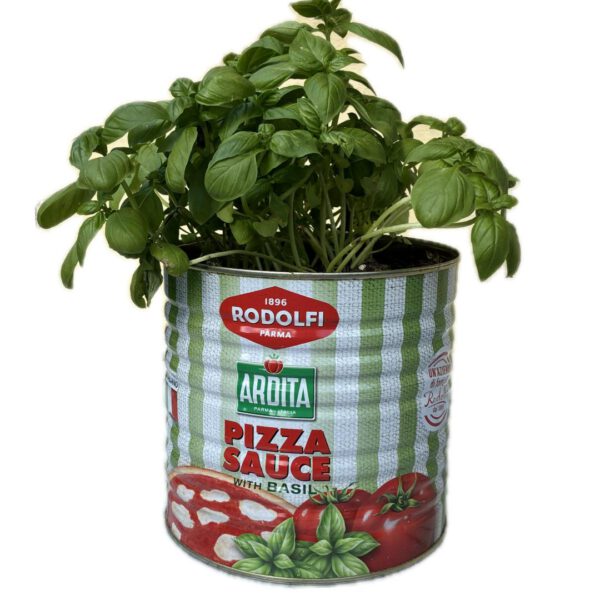 Pizzasausblik met kruiden